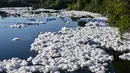 Busa ini memiliki gas hidrogen sulfida di mana kita dapat menemukan berbagai bakteri, berbagai agen yang berbahaya bagi kesehatan, baik bagi lingkungan maupun manusia. (NELSON ALMEIDA / AFP)