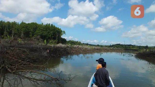 Hutan Mangrove