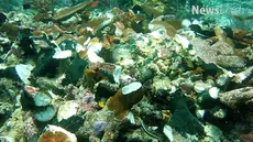 Pemerintah RI bakal segera melakukan pemanggilan dan gugatan terkait kasus kerusakan terumbu karang di perairan Raja Ampat.
