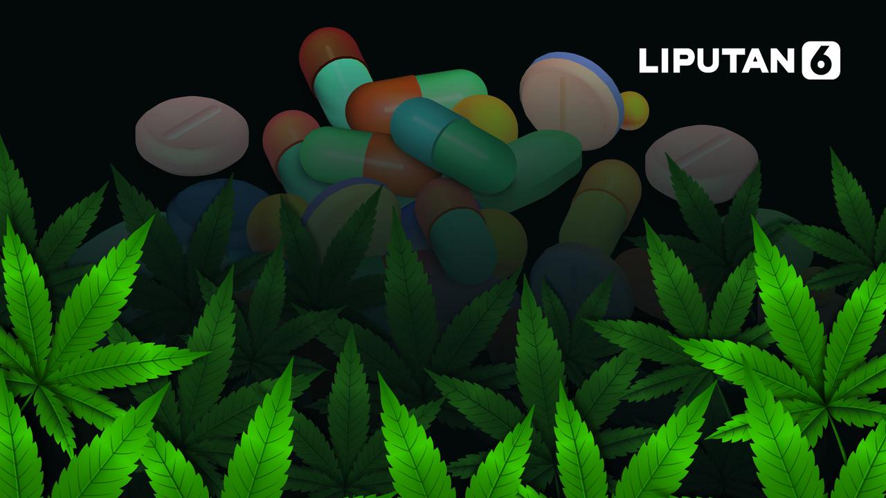 Ilustrasi ganja untuk kebutuhan medis (Liputan6.com / Abdillah)
