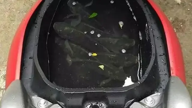 Kumpulan Potret Penyalahgunaan Jok Sepeda Motor yang Bisa Menginspirasi Anda (ist)