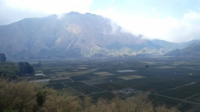 Lahan pertanian di Sembalun, Lombok Timur