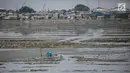 Suasana waduk Pluit yang mengalami pendangkalan di wilayah Penjaringan, Jakarta Utara, Sabtu (8/6/2019). Endapan lumpur cukup tebal yang diperparah dengan sampah menutupi permukaan air waduk tersebut mengantarkan aroma tidak sedap. (Liputan6.com/Faizal Fanani)