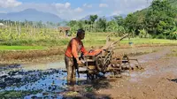 Manfaatkan Alsintan, Produktivitas Pertanian Petani Cianjur Meningkat