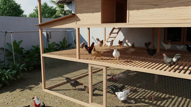 8 Desain Kandang Ayam Koloni Skala Rumahan yang Gampang Dibersihkan, Jaga Higienis