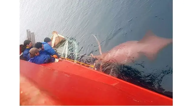6 Potret Mengerikan yang Diambil Orang saat Bekerja di Laut, Penuh Tantangan