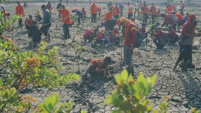 7 Potret Suasana Penanaman Pohon di Kebun Raya Mangrove Pertama di Dunia