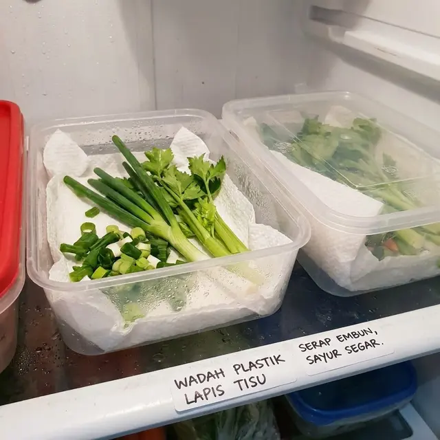 Menyimpan daun bawang dan seledri dengan Wadah Plastik Lapis Tisu(Foto: AI)