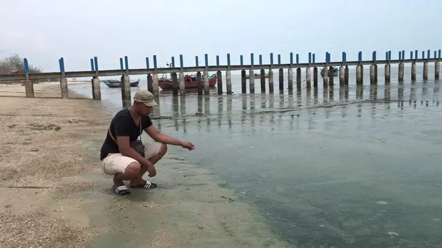 Pantai Pasir Putih Wates
