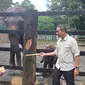 Penjabat (Pj) Gubernur DKI Jakarta Heru Budi memberi nama anak gajah sumatera dan jerapah di Taman Margasatwa Ragunan pada Jumat (3/2/2023). (Merdeka.com/ Lydia Fransisca)