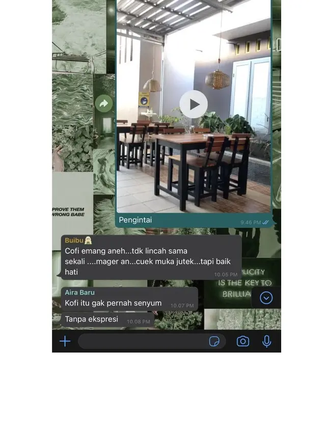 6 Chat Ibu ke Grup Keluarga Bahas Kucing Ini Bikin Tepuk Jidat