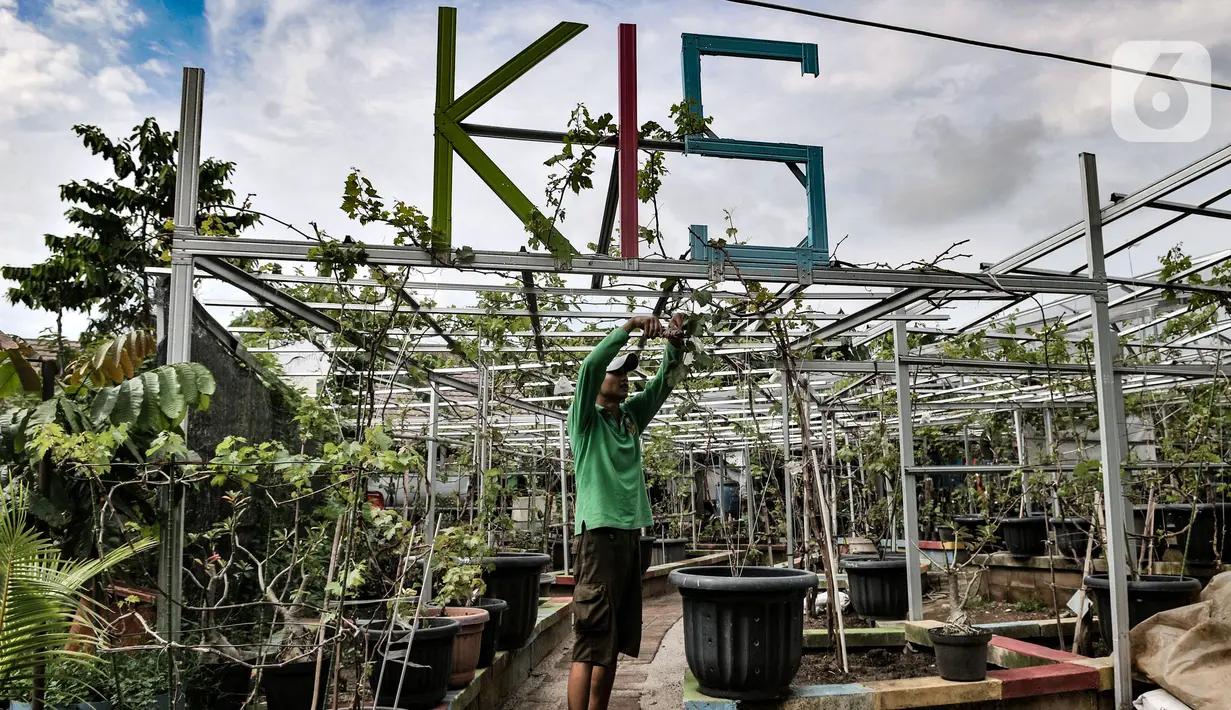Pekerja saat membuat media tanam yang dihasilkan mandiri menggunakan bahan organik di Kebun Imut Si Nakal, Kelurahan Malaka Sari, Kecamatan Duren Sawit, Jakarta, Minggu (7/3/2021). (merdeka.com/Iqbal S. Nugroho)