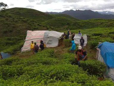 Warga Desa Melasari berkumpul di areal tenda pengungsian di perkebunan teh di Cialahab, Desa Melasari, Nanggung, Bogor, Rabu (24/1). Mereka mengungsi akibat gempa Banten yang merusak rumah. (Liputan6.com/Ahmad Sudarno)