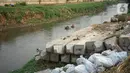 Tiang pancang menghiasi bantaran Sungai Ciliwung di kawasan Rawajati, Jakarta, Rabu (30/10/2019). Tiang-tiang pancang itu merupakan sisa proyek normalisasi Sungai Ciliwung dan telah berada di bantaran tersebut selama beberapa tahun terakhir. (Liputan6.com/Immanuel Antonius)