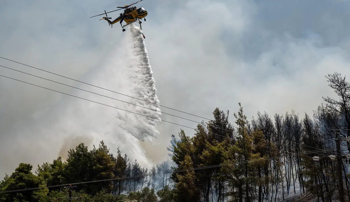 Sebuah helikopter menjatuhkan air ke hutan di atas pepohonan setelah kebakaran hutan di dekat Desa Psachna di pulau Evia (Euboea), pulau terbesar kedua di Yunani, pada 27 Juli 2025. (Angelos TZORTZINIS/AFP)