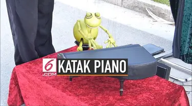 Seorang pengamen memodifikasi suaru alat khusus yang bisa membuat boneka katak seperti mahir bermain piano. Alunan merdu dari sang katak membuat warga yang menonton terpukau.