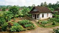 7 Desain Rumah 1 Lantai Atap Genteng Budget Rp50 Juta di Desa
