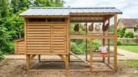 6 Desain Kandang Ayam dengan Tempat Bertengger Inovatif: Jaga Kebersihan dan Kesejahteraan Unggas
