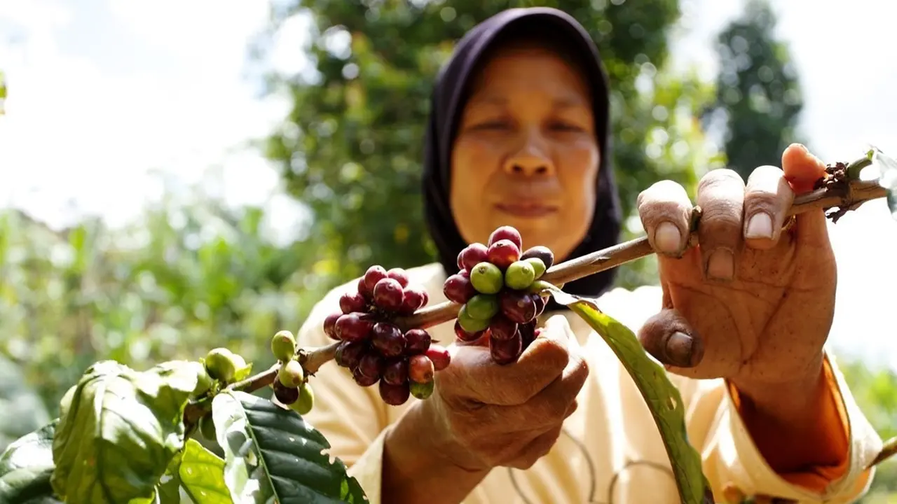Kopi RECOFTC