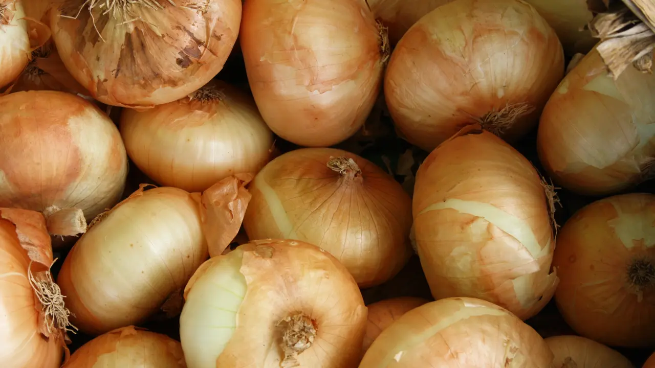 Bawang bombay