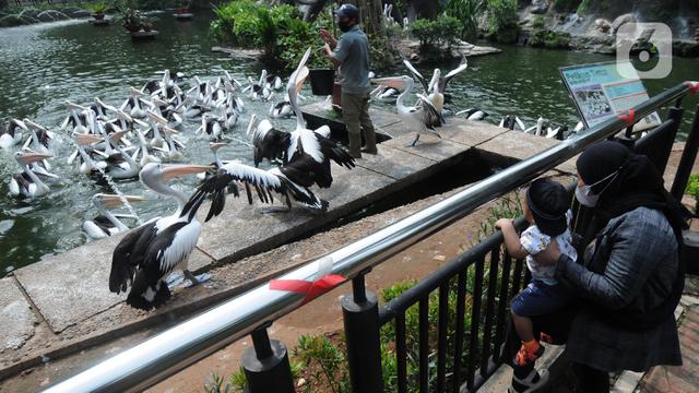 3 Tempat Wisata di Jakarta yang Bisa Dikunjungi Anak Usia di Bawah 12 Tahun, Simak Syaratnya