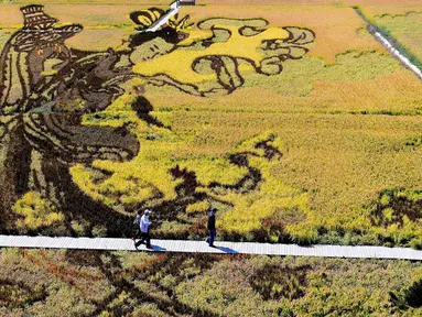 Karya seni bergambar seorang putri tradisional Tiongkok yang terbuat dari varietas padi terlihat di persawahan saat musim panen di Shenyang, China (20/9). Karya seni ini bertujuan mempromosikan pariwisata di daerah tersebut. (AFP Photo/Str/China Out)