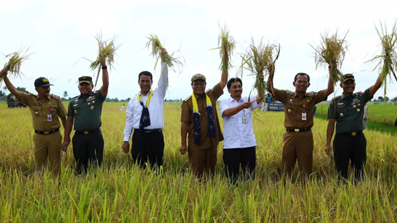 Program SERASI Jadikan Kalsel Lumbung Padi Nasional