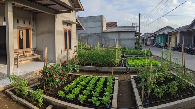 Ide Kebun Mini di Rumah dengan Sistem Irigasi Tetes Raised Bed Mini