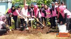 Citizen6, Subang: Macam-macam toga tersebut meliputi kumis kucing, kunyit, lengkuas, jahe, laja,wilahong, mahkota dewa dan lain-lainnya. (Pengirim: Dodo)