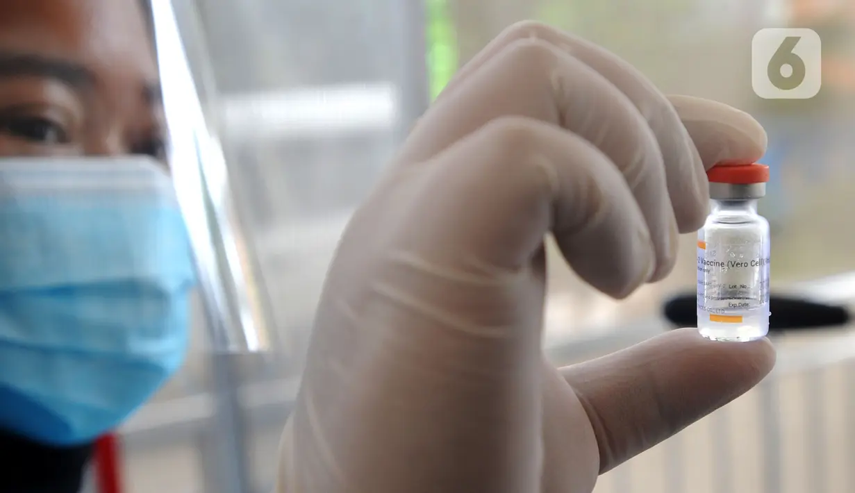 Dokter menunjukkan botol vaksin virus corona COVID-19 produksi Sinovac saat kegiatan vaksinasi di Puskemas Jagakarsa, Jakarta Selatan, Kamis (14/1/2020). Sejumlah Puskesmas di Jabodetabek mulai melakukan vaksinasi COVID-19 pada hari ini. (merdeka.com/Arie Basuki)