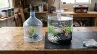 Cara Membuat Aquarium dari Galon Bekas, Hemat Biaya dan Tetap Estetik