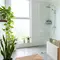 10 Cara Buat Kamar Mandi Tetap Wangi dan Segar Sepanjang Hari