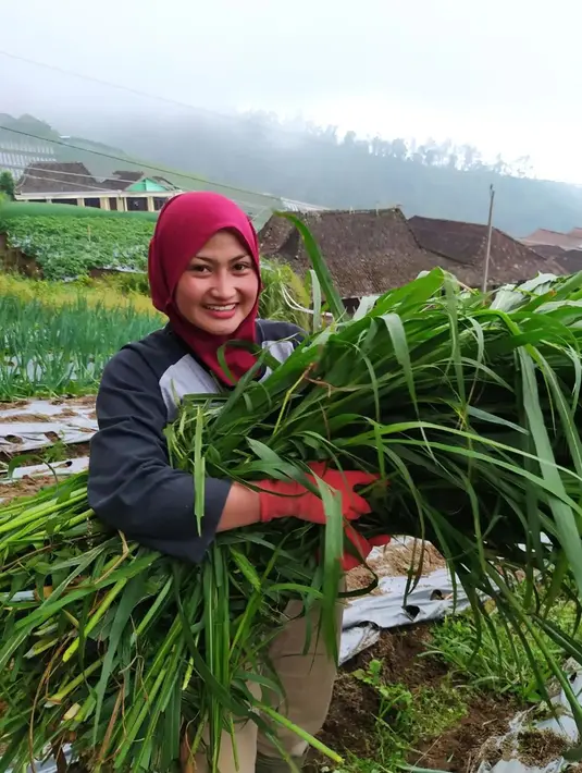 Awalnya Novi hanya merawat sayuran, memberi pupuk, memberi obat tanaman, sampai cara memanen. Dari situ, kecintaan Novi terhadap bertani semakin tumbuh. Setiap pagi, ia pergi ke ladang untuk merawat sayurnya.(Liputan6.com/IG/@novilisty_)