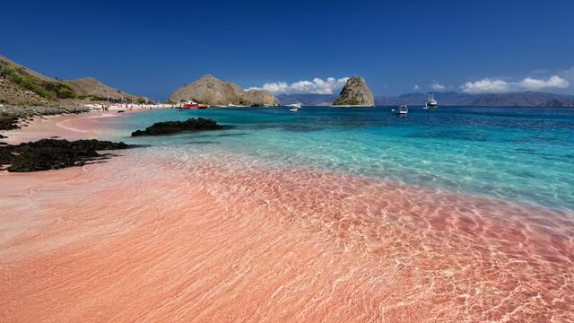Pink Beach, Indonesia