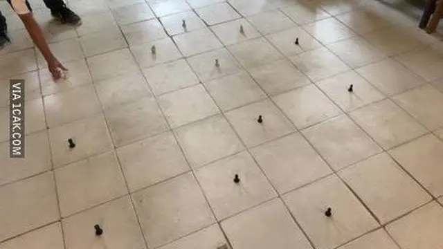 Potret Papan Catur Ini Nyeleneh Abis, Bikin Bingung Namun Kreatif