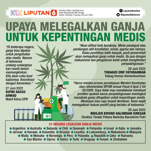 Infografis Upaya Melegalkan Ganja untuk Kepentingan Medis