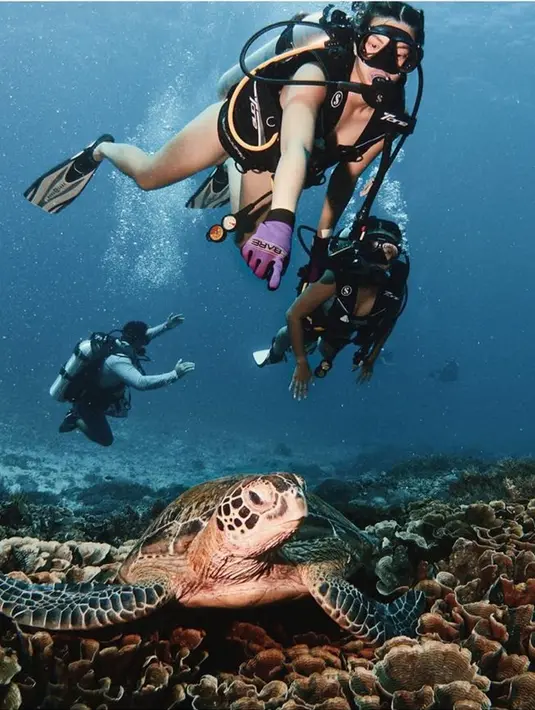 <p>Keindahan biota laut Labuan Bajo tak mau Nia Ramadhani lewatkan begitu saja. Nia pun foto bareng penyu yang berenang di atas terumbu karang. (Instagram/ramadhaniabakrie)</p>