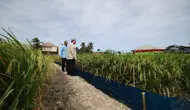 Prabowo: Kita Tidak Akan Swasembada Satu Tahun, Tapi Seterusnya!