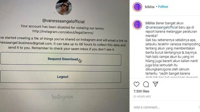 Instagram Vanessa Angel