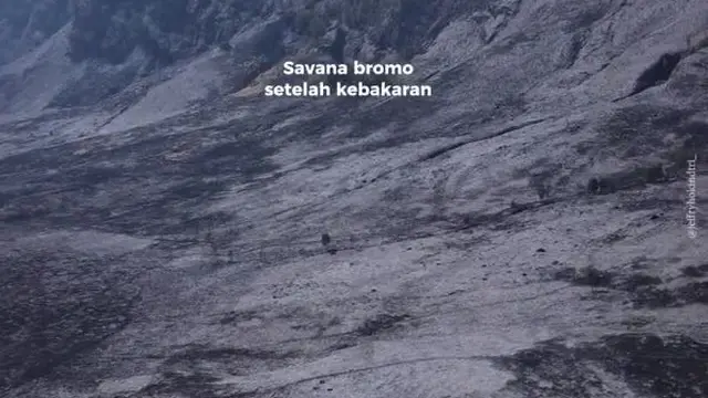 6 Potret Savana Bromo Dilihat Dari Drone Setelah Kebakaran, Tampak Hangus