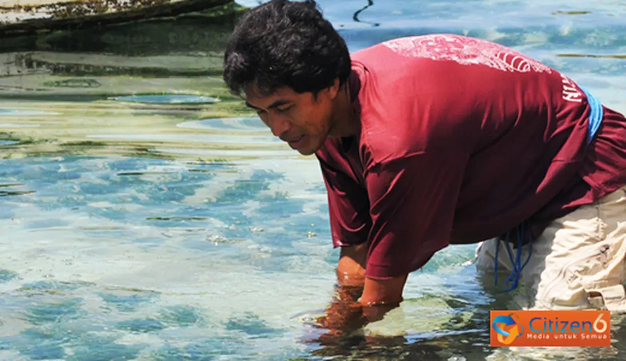 Citizen6, Kutuh: Kelompok Pembudidaya rumput laut di Desa Kutuh ini, telah sering menjadi Juara di tingkat Nasional. (Pengirim: Efrimal Bahri)
