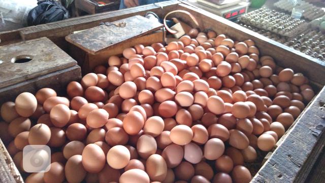 Harga Telur Sudah Normal Kini Dijual Rp 23 Ribu Per Kg Bisnis Liputan6 Com 