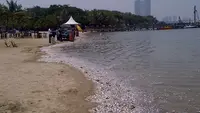 Ancol Gratis Saat HUT ke-499 Jakarta, Catat Waktu dan Syaratnya