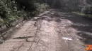 Citizen6, Lamongan: kondisi jalan di wilayah selatan kabupaten Lamongan mengalami kerusakan. (Pengirim: LandaxNocturnal Zaen)