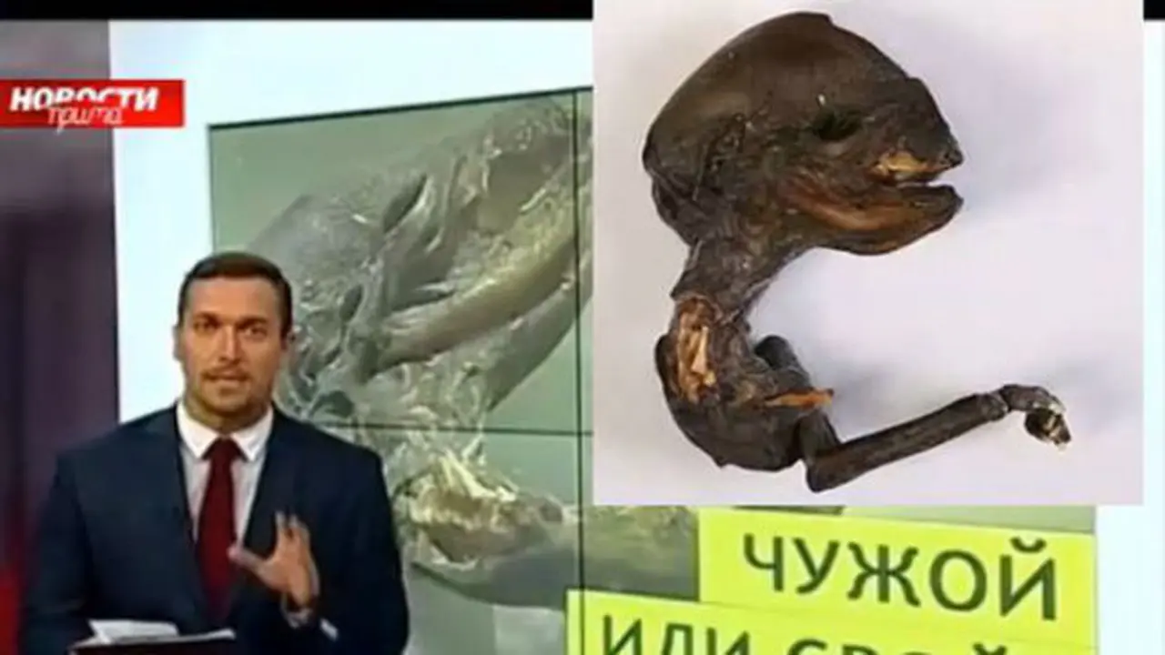 Makhluk asing ditemukan di Rusia1.