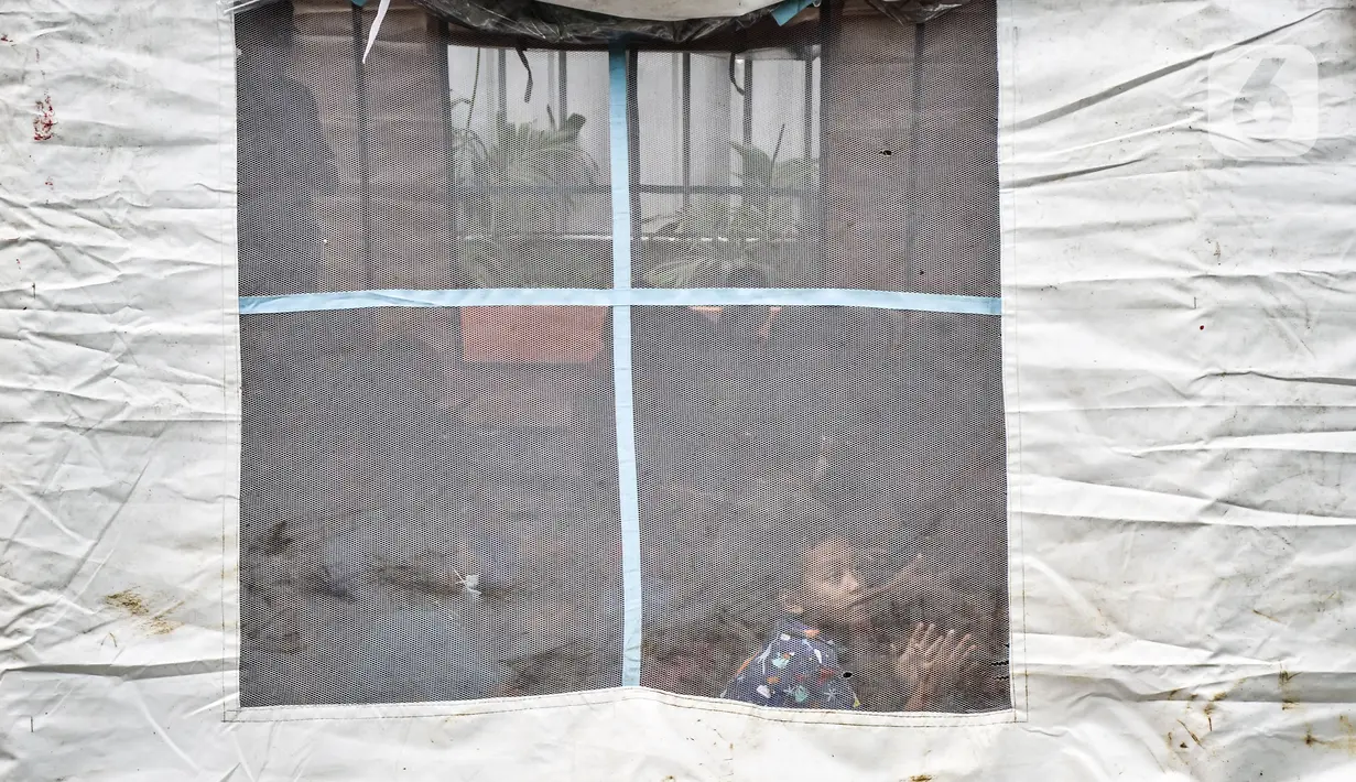 Anak-anak korban kebakaran saat bermain di tenda pengungsian di SDN 09 Kebon Kosong, Kemayoran, Jakarta, Selasa (31/8/2021). Belum diketahui sampai kapan mereka mengungsi di sekolah karena tidak memiliki tempat tinggal. (merdeka.com/Iqbal S. Nugroho)