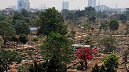 Padahal, setiap harinya 80-100 orang meninggal dimakamkan di area pemakaman umum sehingga perlu diadakan pembukaan lahan baru, Jakarta, (13/10/14). (Liputan6.com/Johan Tallo) 