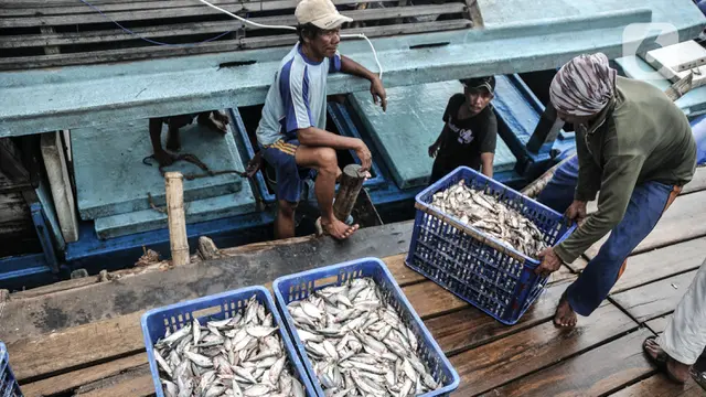Harga Ikan Mulai Naik Jelang Ramadan