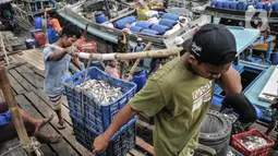 Aktivitas nelayan saat bongkar muat ikan di dermaga Kalibaru, Cilincing, Jakarta, Rabu (23/3/2022). Sejumlah jenis ikan konsumsi harian rumah tangga seperti ikan kembung, layang, cakalang, dan tongkol mengalami kenaikan harga akibat tingginya permintaan jelang Ramadan (merdeka.com/Iqbal S Nugroho)