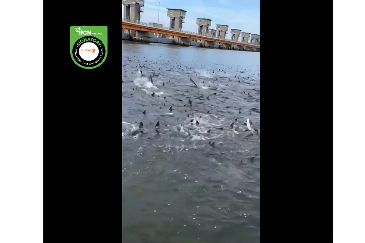 Tangkapan layar klaim video dampak pembuangan limbah nuklir Jepang